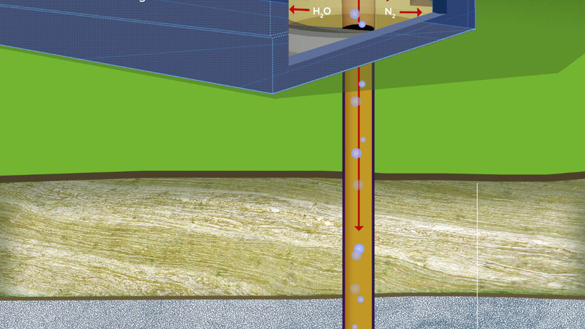 Download our graphic below to learn more about CCS