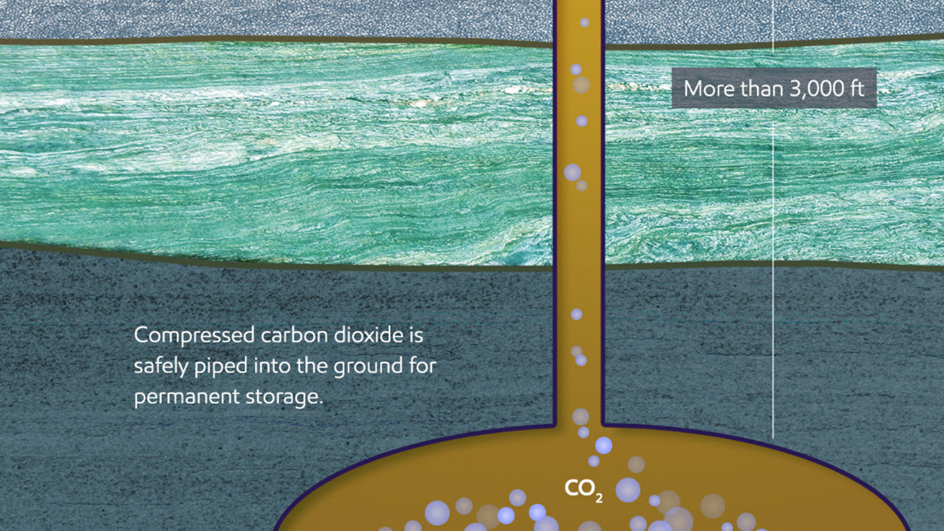 Download our graphic below to learn more about CCS