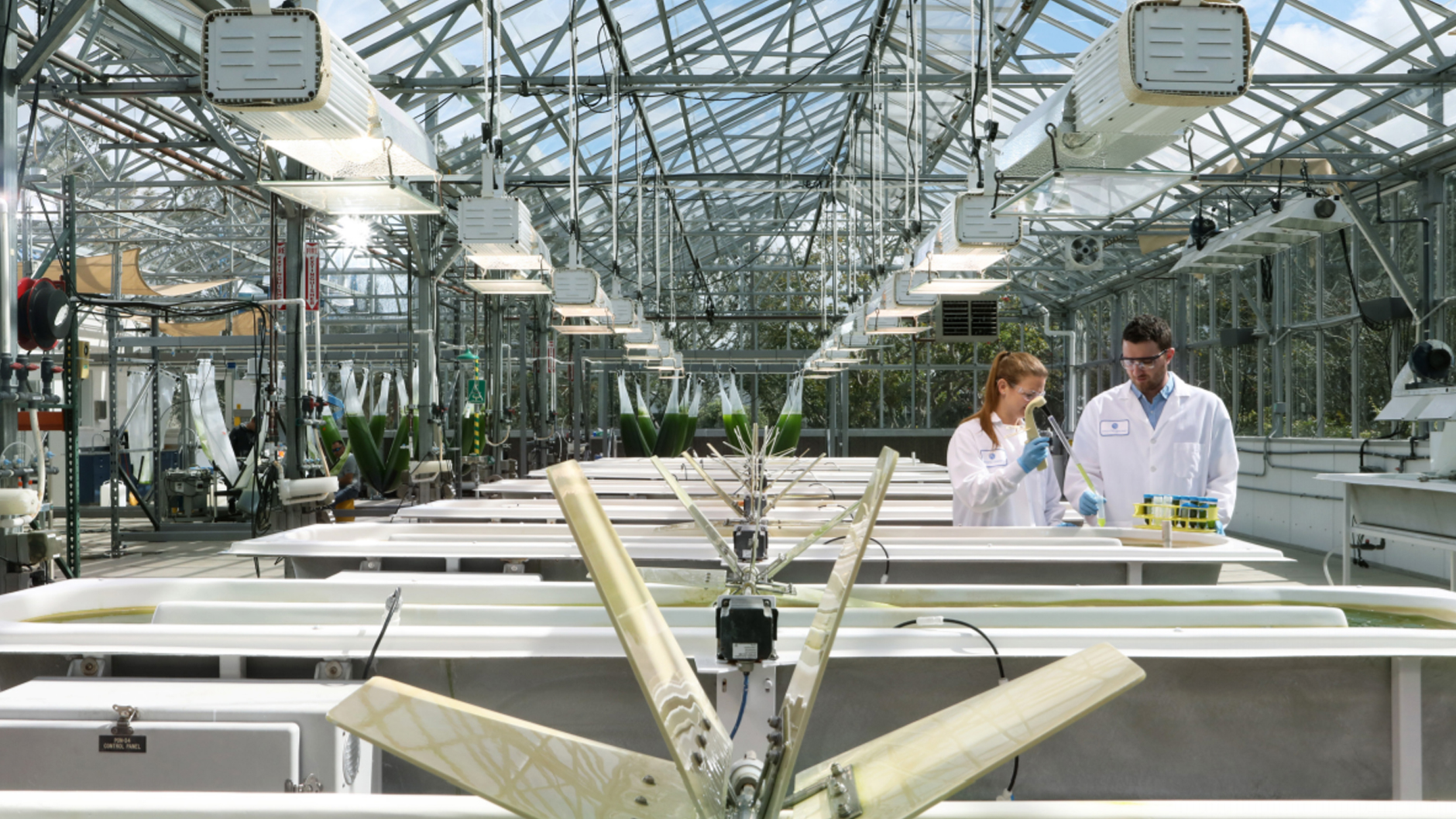 Image Photo Viridos' scientists use advanced cell engineering technologies