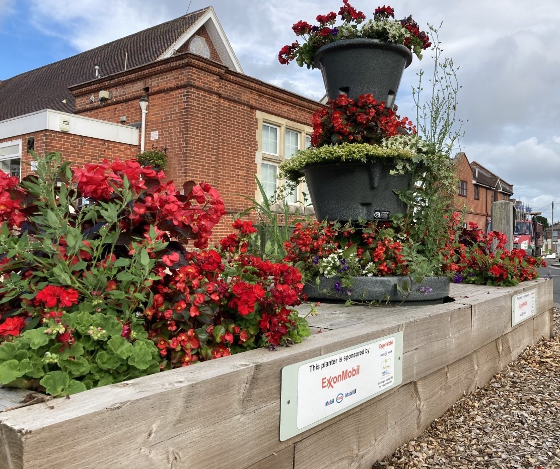 Fawley flowers are blooming beautifully
