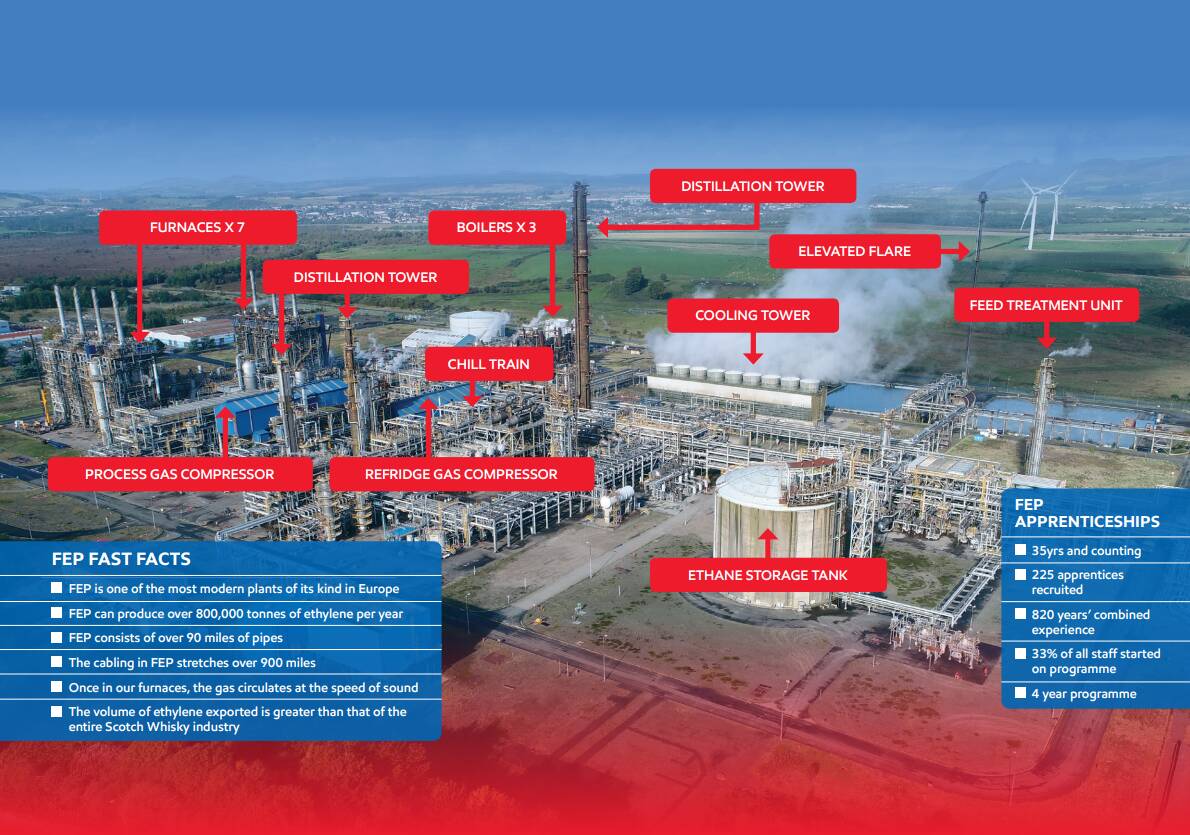 Image Our Plant Diagram